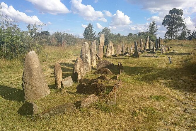 Day Tours to Tiya Stele and Cave Churches of Adadi Maryam - Booking, cancellation, and practical details