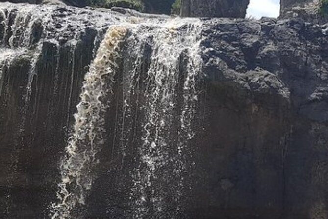 Day Trip Around Addis Ababa - Gelada baboons and birdwatching expectations