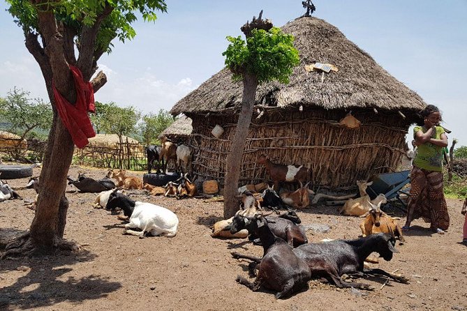Day-Trip Church of Adadi Mariam from Addis Ababa - Melka Kunture and Africa’s prehistoric past