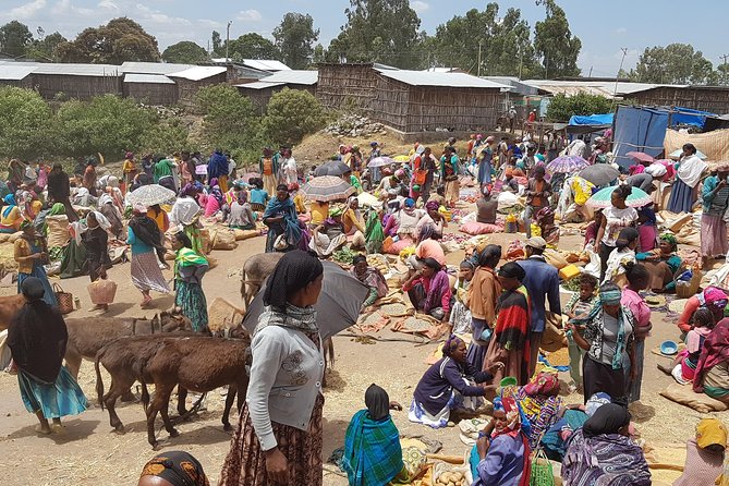 Day-Trip Church of Adadi Mariam from Addis Ababa - Lunch, coffee, and a closer look at local life