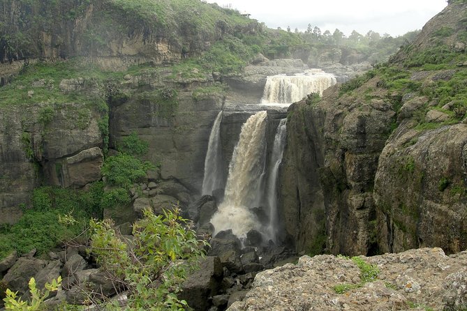 Day Trip From Addis Ababa See Historical Monastery,Stunning Nature,Animals,Birds - Why this is one of Addis Ababa’s better day trips