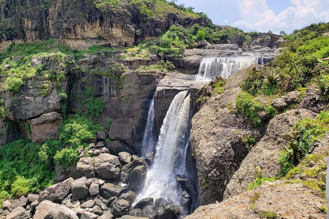 Day Trip From Addis Ababa See Historical Monastery,Stunning Nature,Animals,Birds - Birdwatching around Jemma Valley