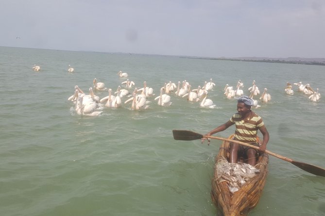 Day trip on Bahir dar. To visit lake tana monasteries and Blue Nile Falls. - Starting in Bahir Dar at 7:00 a.m.