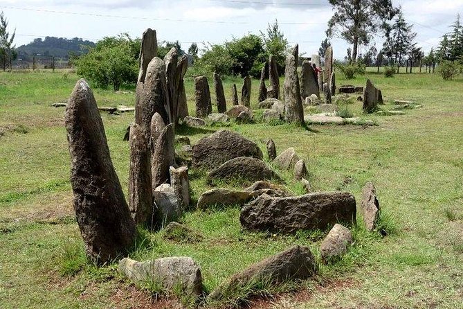 Day trip to Adadi Mariyam, Tiya and Melka kunture - Key points to know before booking