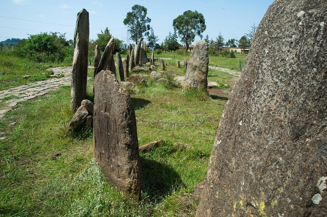 Day trip to Adadi Mariyam, Tiya and Melka kunture - Melka Kunture and Ethiopia’s prehistoric past