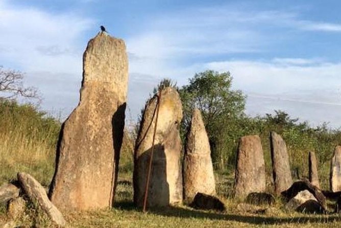 Day trip to Adadi Mariyam, Tiya and Melka kunture - Who should book this day trip