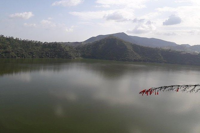 Day Trip to Debre Zeit/ Bishoftu - Hora Lake, birdlife, and the walking warning