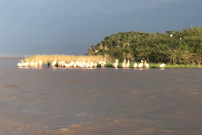 Day Trip To Lake Ziway - The road through Ethiopia’s Rift Valley
