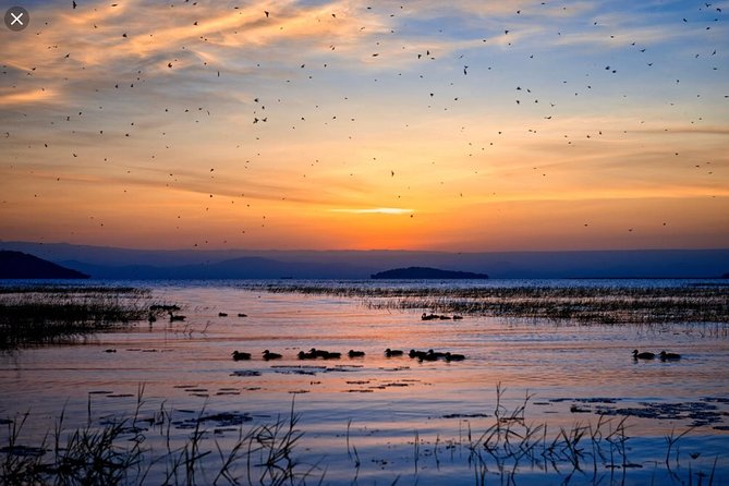 Day Trip To Lake Ziway - What the day feels like in practice