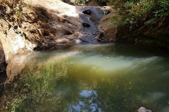 Day Trip to Menagesha Suba Forest from Addis Ababa - Small Details That Make the Day Easier