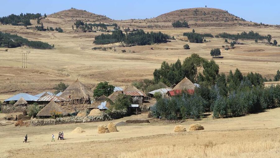 Day Trip To See Monastrys,Amazing landscapes & Animals - Saint Tekle Haymanot and the meaning of the site