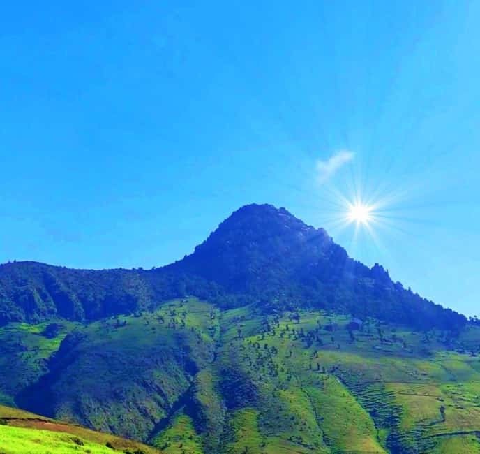 Day Trip To See Monastrys,Amazing landscapes & Animals - Is $120 good value?