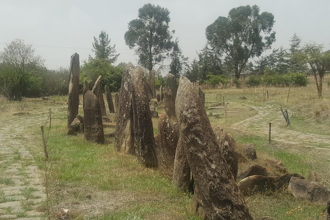 Day Trip to Tiya UNESCO Site & Melka Kunture Archaeological Site - Key points at a glance