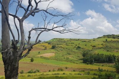 Debre Libanos Monastery and Jemma River Gorge – Day Tour from Addis Ababa