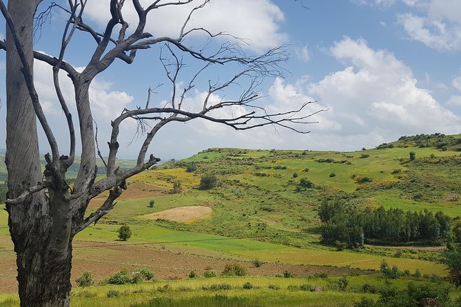 Debre Libanos Monastery and Jemma River Gorge - Day Tour from Addis Ababa - Debre Libanos Monastery and its Orthodox setting