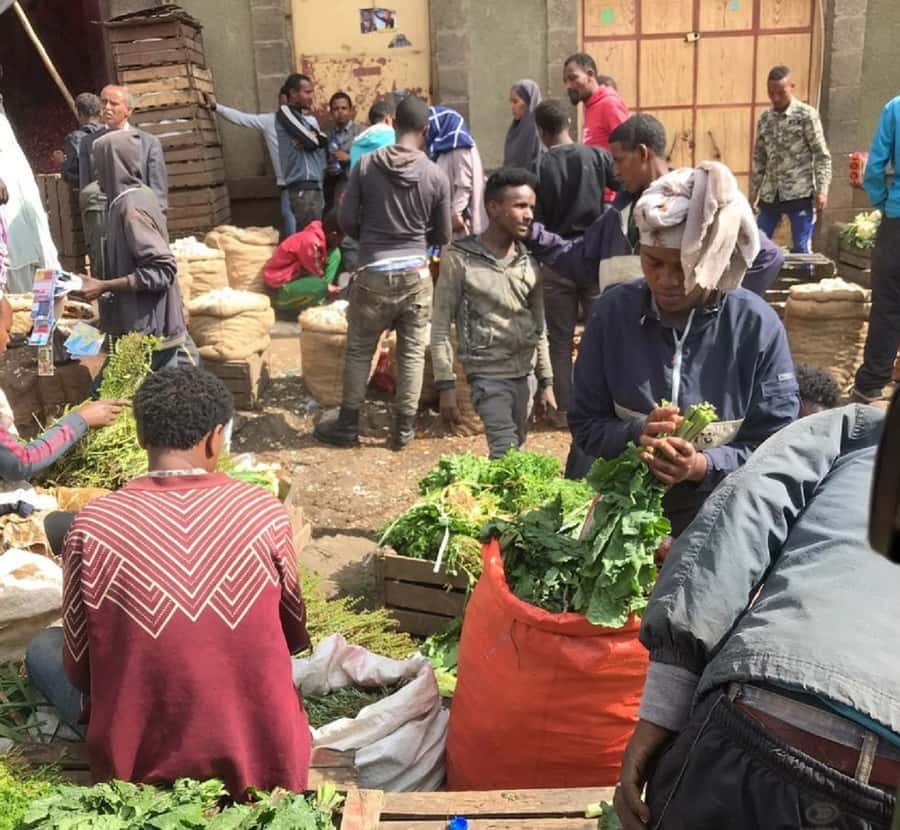 Ethiopian Culinary Tour - Market, Coffee Ceremony and More - Who should book this experience?