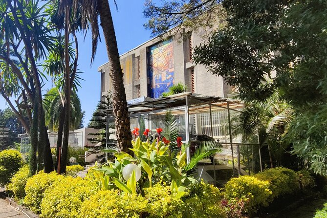 Every day Addis Ababa City Tour - Walking through Merkato with a guide