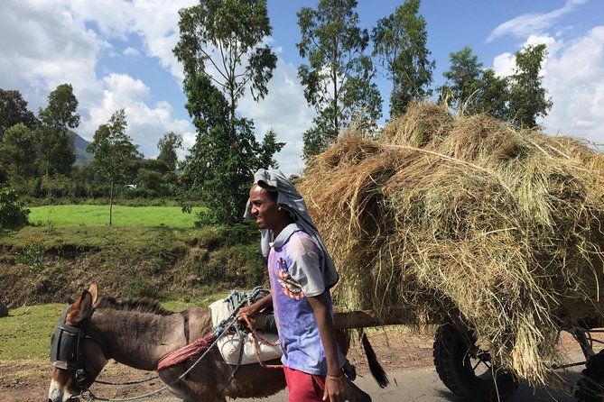 Excursion to Melka Kuntre, Tiya and Adadi Mariam - Why this countryside day works from Addis Ababa