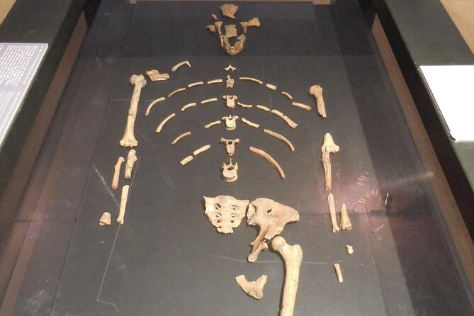 Experience a Cultural and Historical Journey through Addis Ababa - Starting with Lucy at the National Museum