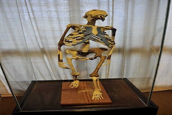 Full Day Addis Ababa City Tour with Hotel Pick Up And Drop Off - Lucy and Ethiopia at the National Museum