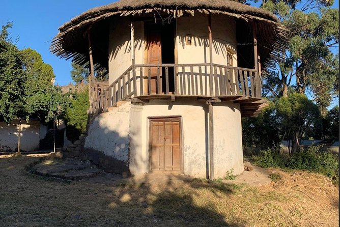 Full Day Addis Abeba City Tour - Is $110 a Fair Price?