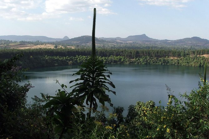 Full Day Trip to Lake Wonchi - Arriving at the high crater lake