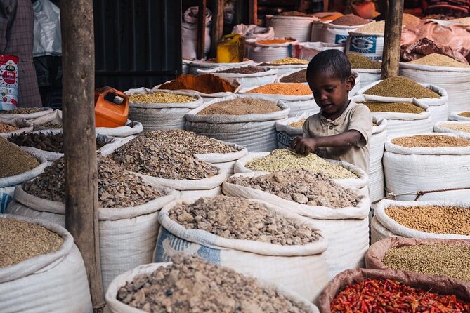 Full & Half Day City Tour Of Addis Ababa - Booking, cancellation, and simple planning tips
