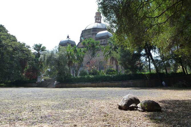 Hidden Treasures of Addis Ababa - Food, Culture and History Tour - Key points to know before booking