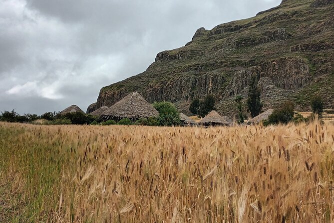 Lalibela 2-Day Eco Trekking Tour - Guides, language, and the human side of the walk