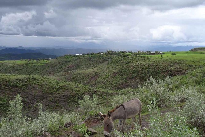 Lalibela churches Guided Tour - Who will enjoy this tour most