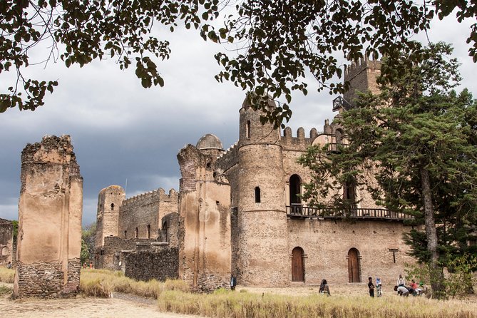 Northern Ethiopia Historic Route - Addis Ababa: cathedral, museum, market, and mountain