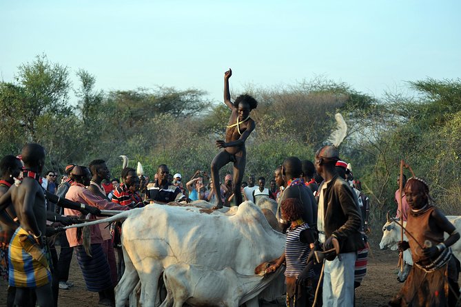 Omo Valley 5 Days - Day 5: Dorze homes and the crocodiles of Lake Chamo