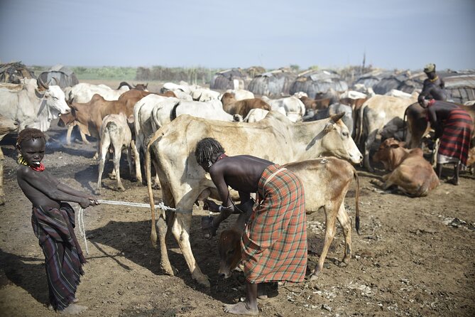 Photography Expeditions to Omo Valley - Day 6: Dorze villages and the return to Addis Ababa