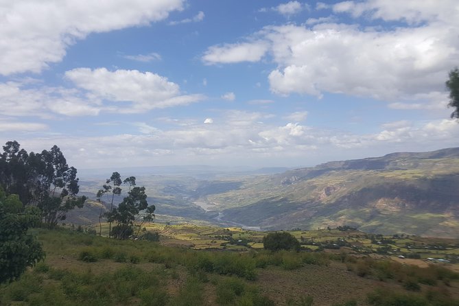 Private Day Trip to Debre Libanos Portuguese Bridge Galada Baboon - Mount Entoto and the view back to Addis Ababa