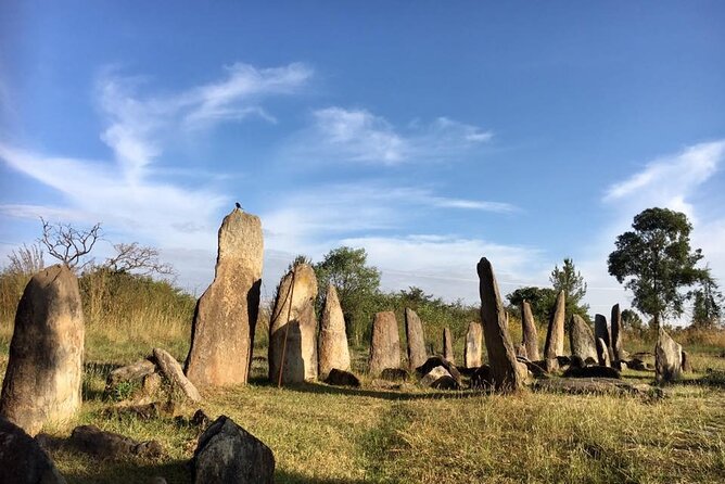 Private Full-Day Stone Age and Medieval Tour from Addis Ababa - Why this is one of Addis Ababa’s best history day trips