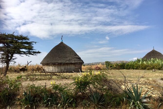 Private Full-Day Stone Age and Medieval Tour from Addis Ababa - Adadi Mariam: a church cut from stone