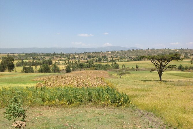 Private Full-Day Stone Age and Medieval Tour from Addis Ababa - Melka Kunture: Stone Age archaeology in the open air