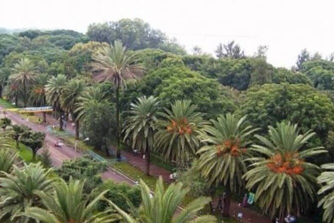 Private Guided Tours To Bahir Dar Lake Tana Monastery & Blue Nile Waterfalls - What the private vehicle and guides add