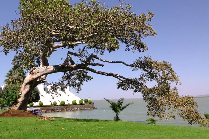 Private Guided Tours To Bahir Dar Lake Tana Monastery & Blue Nile Waterfalls - The schedule works best for a focused day