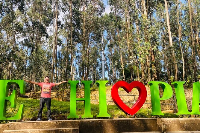 Private Half Day Guided tour in Addis Ababa New Flower - Patriots Square and the road to Mercato