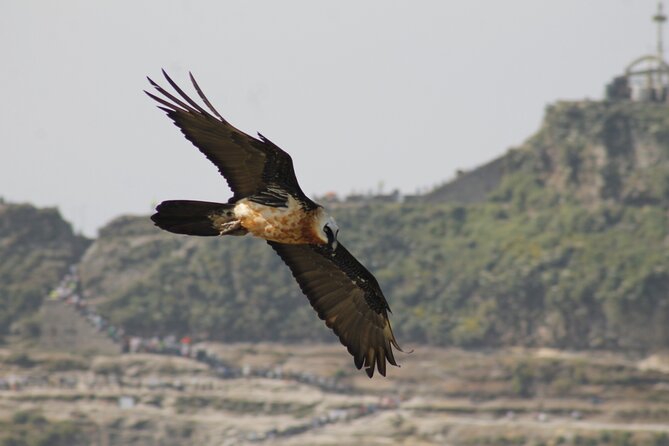 Rock Churches of Lalibela Guided Tour - Starting at Lalibela Airport at 2 pm