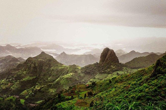 Simien Mountains – 4 Days - Day Three: Giant Lobelia and Imet-Gogo