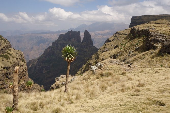 Simien Mountains National Park – 7 Day Trek - Day 5: The long descent from Sona to Mekarebya