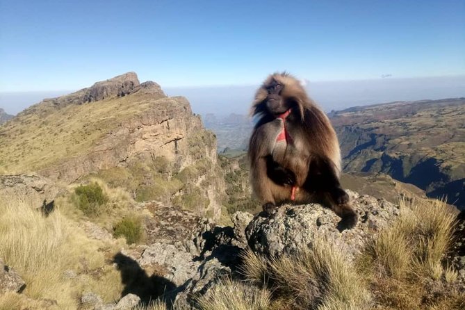 Simien Mountains Trekking Adventure - Why the Simien Mountains feel different