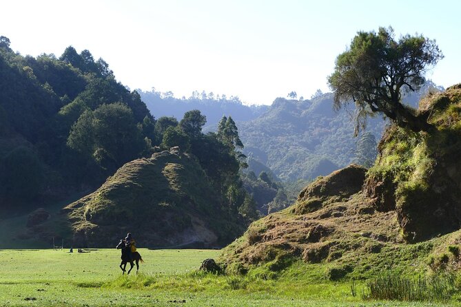 Stunning Views Wonchi Crater Lake a Private Day Trip - Leaving Addis Ababa for Woliso