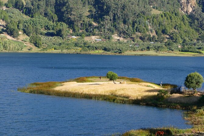 Stunning Views Wonchi Crater Lake a Private Day Trip - Traditional coffee in Woliso