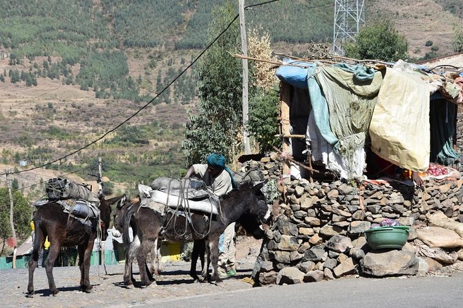 The Best way to Discover Addis Ababa - Why this one-day Addis Ababa tour works