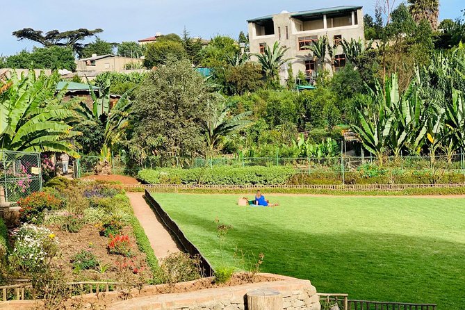 Walking Tour of Addis Abeba - Discover Addis the Authentic way - The National Museum and the story of Lucy